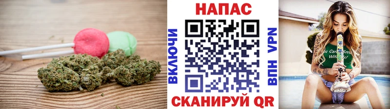 Купить  Урюпинск  Canna-Cookies конопля 