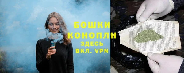 шишки Балабаново