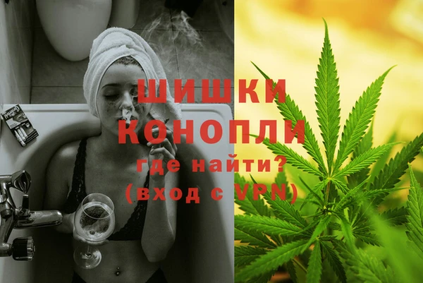 шишки Балабаново
