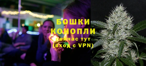 шишки Балабаново