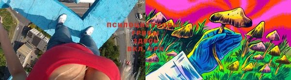 шишки Балабаново
