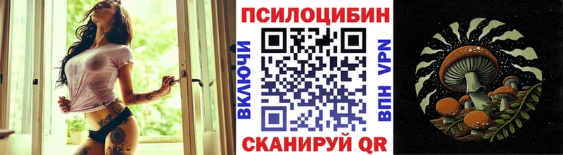 Псилоцибиновые грибы Psilocybe  Купить  Урюпинск 
